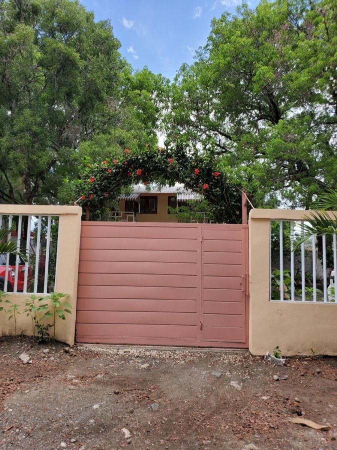 Casita De Las Flores San Jose de Ocoa エクステリア 写真